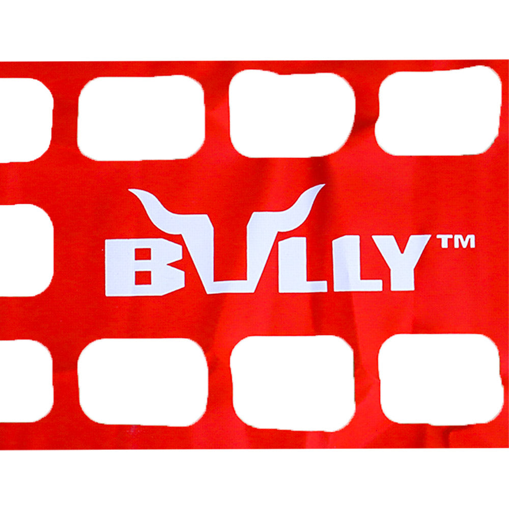 BRAND NEW BULLY RED UNIVERSAL COMPACT MID SIZE Pickup Truck Tailgate Net 48" X 15"