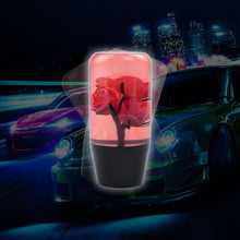 Load image into Gallery viewer, Brand New 1PCS Universal 10CM JDM Clear Red Real Flowers Manual Car Black Base Racing Stick Shift Knob M8 M10 M12